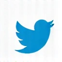 Twitter icon